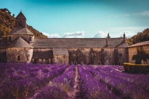 Visiter la Provence