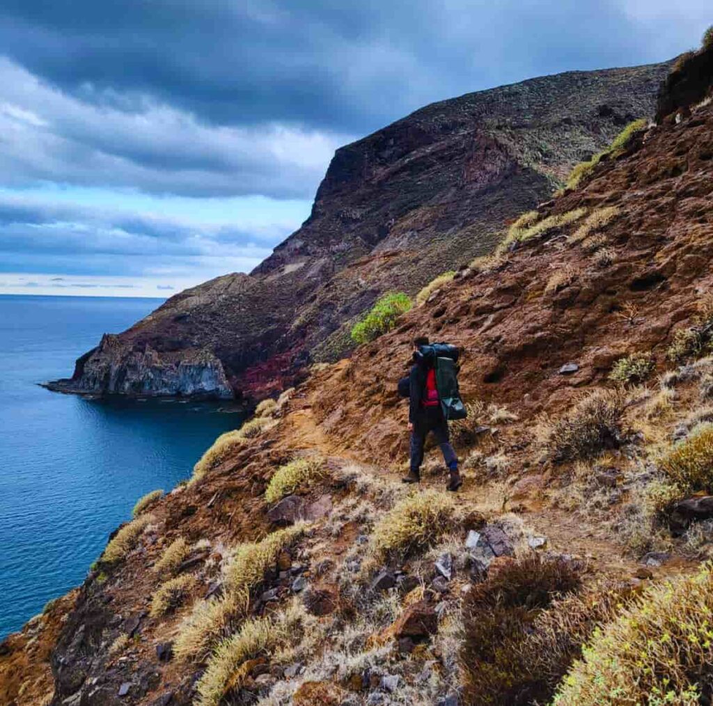 canarie